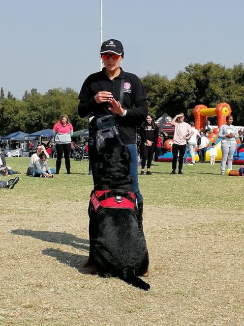Demonstration day at a community event