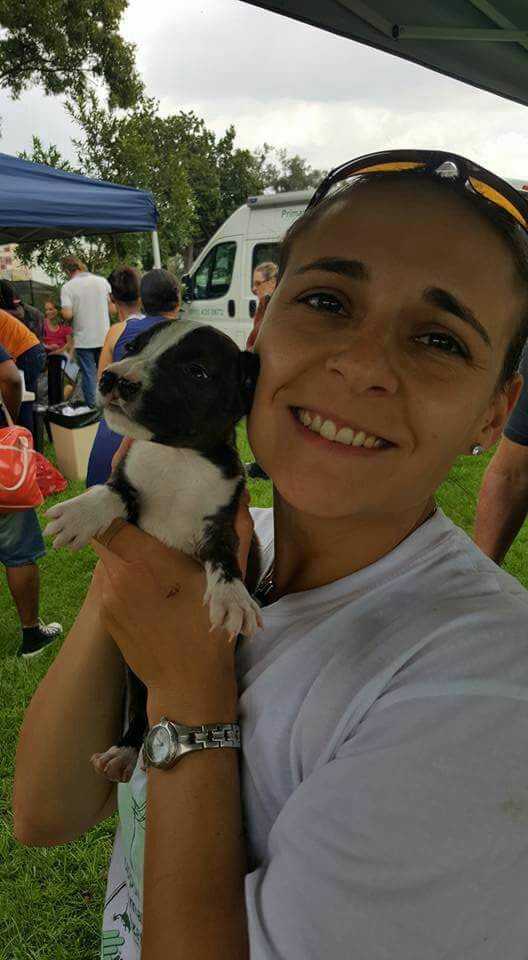 A trainer holding a young puppy between lessons