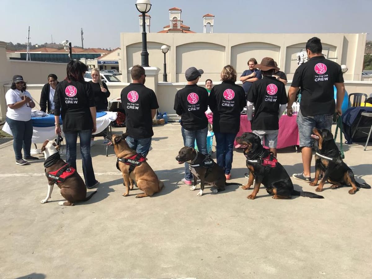 The Dog Club demo team on parade with their dogs