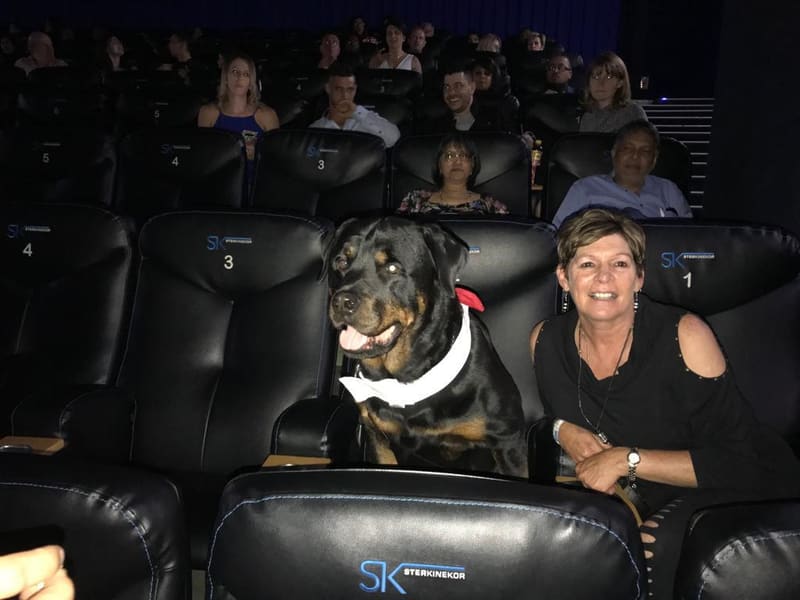 Julie Bezuidenhout with Adam the Rottweiler in a cinema at the Frank & Fearless premiere