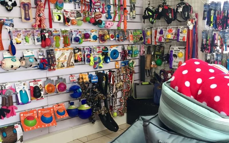 Shelves of pet accessories in The Dog Club shop